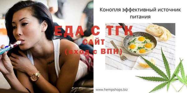 спиды Бородино